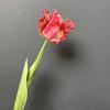 Flor Artificial Toque Tulipa Papagaio Sentido Avançado Decoração Arte Floral Buquê de Flores Sala de Estar Fotografia Flor Falsa Mesa de Jantar Enfeites Flor