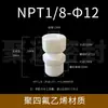 Conector de Terminal Reto de PTFE Politetrafluoroetileno PE Resistente a Ácido e Alcali Resistente a Altas Temperaturas Conector de Mangueira com Rosca Externa