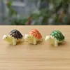 Decoração de tartaruga Musgo micro paisagem decoração de paisagem garrafa ecológica planta jardinagem boneca decoração de bolo nova promoção