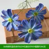 Flores Artificiales Flor Azul Materiales Boda Salón de Bodas Decoración del Hogar Rosas Artificiales Flores Falsas Flores de Plástico Venta al por Mayor
