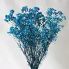 Pacote de Material DIY Flor Eterna 1g Gradiente Cabeça Grande Mosquitinho Estrela Milionária Buquê de Flores Secas Flor Eterna Flor Real