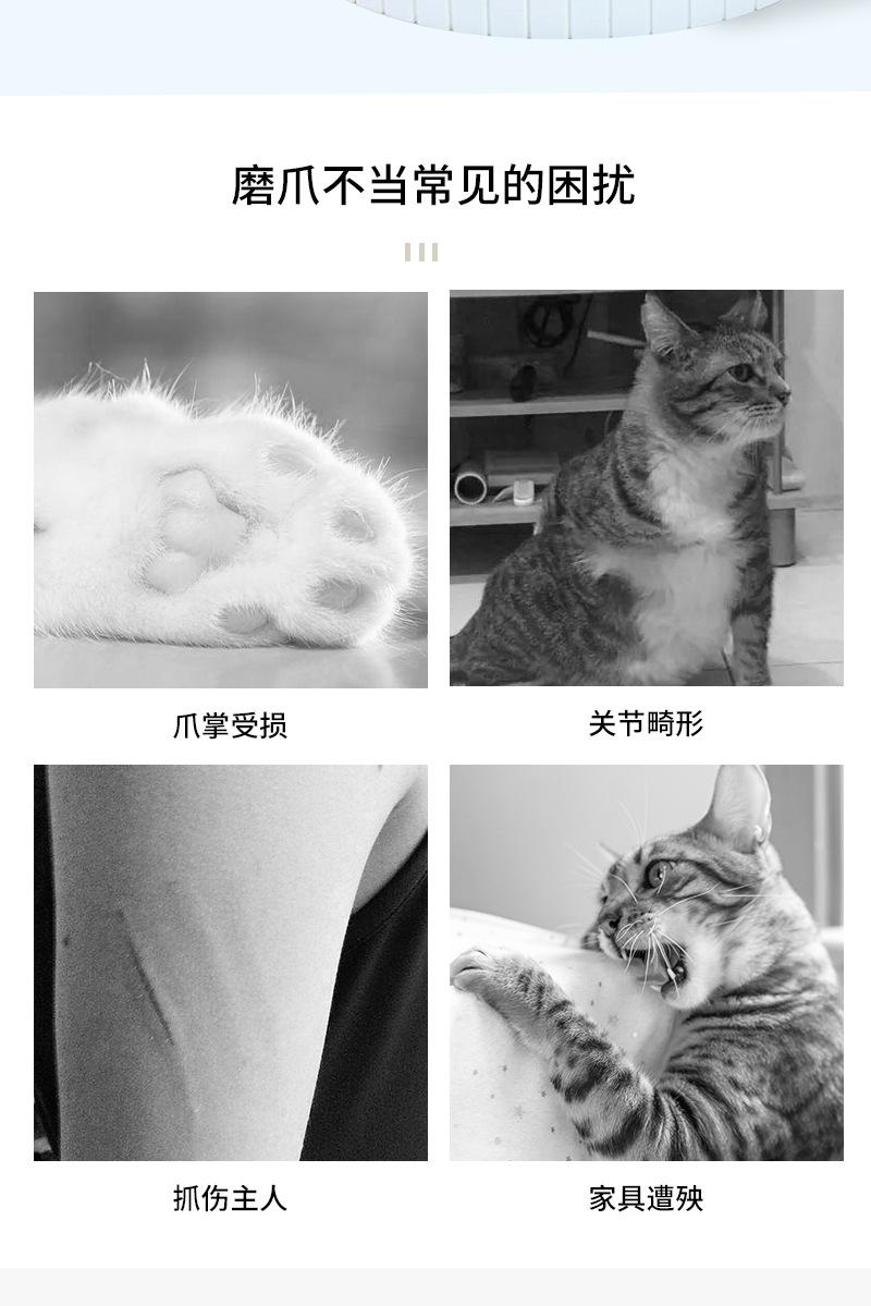 未标题-2_03