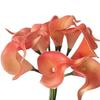 Popular Transfronteiriço Pu Lírio de Calla Mini Lírio de Calla Alta Simulação Realista Lírio de Calla Toque Lírio de Calla Flor Artificial