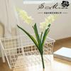 Flores Artificiales, Jacintos de Dos Cabezas, Artículos Creativos para Decoración del Hogar, Accesorios para Paredes de Plantas, Venta al por Mayor de Flores del Fabricante de Jinhua