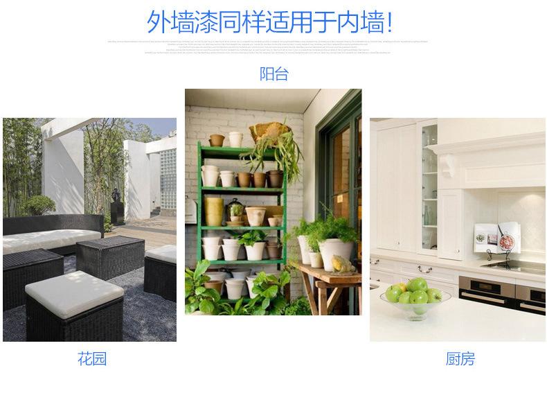 荷叶自洁9
