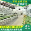 Invernadero de vidrio inteligente para cultivo de hortalizas y producción de plántulas, estructura multiespacio con marco galvanizado en caliente, instalación moderna de agroturismo