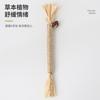 Juguetes para Gatos Hechos de Madera, Hierba Gatuna y Fruto de Agalla de Insecto; Palos para Jugar con Gatos; Palillos Limpiadientes de Hierba Raffia; Juguetes para gatos; Suministros para mascotas