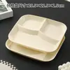 Plato dividido transfronterizo de plástico para una sola porción plato de comida rápida plato de frutas plato para perder peso plato cuadrado de tres compartimentos uso comercial