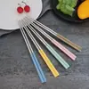 Pauzinhos de elemento de trigo utensílios de mesa de trigo doméstico 304 pauzinhos de aço inoxidável criativo colorido família pauzinhos conjunto de cinco cores