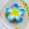 Nuevo pasador de pelo acrílico de frangipani de colores, pinza de flor, accesorio para el cabello elegante y sofisticado para mujer, pinza de tiburón lateral