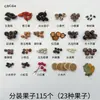 Material de Especímenes de Cáscara de Fruta de Planta Natural Decoración de Hojas de Árbol Imán para Refrigerador Bellota Piña Navidad DIY para Jardín de Infancia