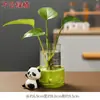 Decoração de Casa Estilo Chinês Panda Rabanete Verde Vaso Hidropônico Arranjo de Flores Vidraria Decoração de Mesa Vaso de Planta Presente