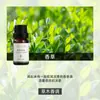 Aceite Esencial de Aromaterapia Soluble en Agua para Difusor de Aroma, Fresco para el Aire Interior, Humidificador, Máquina de Aromaterapia, Venta al por Mayor de Fábrica de Aceites Esenciales de Aromaterapia