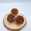 Rodajas de Limón Adornos Navideños Accesorios Hechos a Mano DIY Arreglos Florales Adornos Decoración del Hogar Piñas Accesorios para Fotografía Cáscaras de Frutas Secas