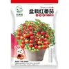 Semillas de Tomate Pequeño en Maceta Huerto Jardín de Verduras Balcón Tomate Rojo Redondo Pequeño Dulce y de Pulpa Espesa Semillas de Tomate Cherry Rojo