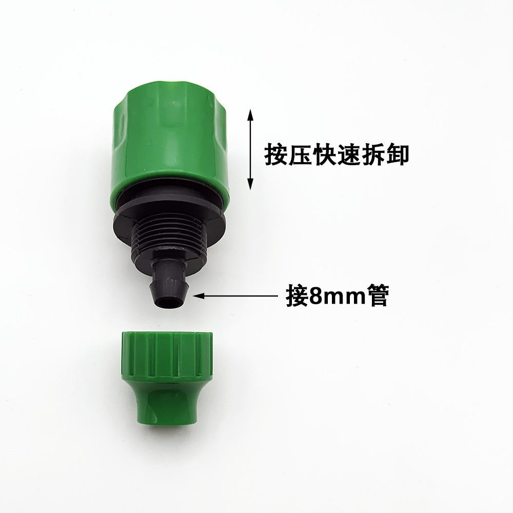 019W-1000.jpg