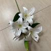 [Material de flor blanca] Arreglo floral de hortensia, rosa, flor de pasto escarchado con decoración de material de hoja de niebla de techo de pasto, flor de simulación para boda