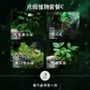 Na Cidade VaziaPodocarpus Pequeno em Vaso Cultura em Solo Micro-Paisagem Desktop Interno Jacarandá Bambu Cipreste Madeira Pé de Pato