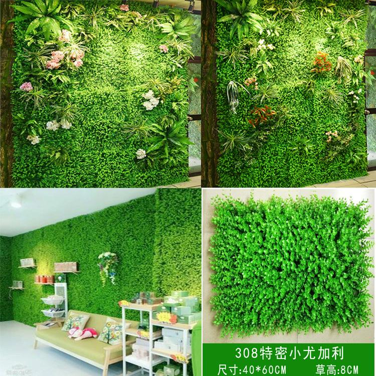 308小尤加利