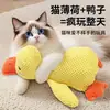 Brinquedo de gato transfronteiriço, brinquedo caprichoso autoentretenedor, vara com pena para provocar, brinquedo para pet, suprimentos para pet, brinquedo para gato