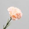 Claveles Artificiales Humectantes de Tacto Realista Regalo del Día de la Madre Decoración del Hogar Boda Transfronteriza Flores Falsas al por Mayor