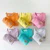 Ropa Infantil Estilo Coreano Otoño Traje de Bebé Deportivo Casual Oso Conjunto de Dos Piezas Ropa Transpirable Mangas Largas Moda Conjunto Casual