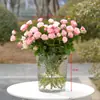 Floristería Especial Cubo Transparente Grande para Flores con Asa, Cubo de Plástico para Flores Frescas, Cubo Redondo Profundo para Despertar Flores para Exhibición en Puesto