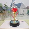 Luz Nocturna de Flor Eterna Rosa Dorada Color Oro con Lámina de Oro Navidad Maestro Día de San Valentín Chino Día de San Valentín Romántico Día de la Madre Regalo Adornos