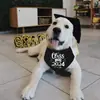 Amazon Transfronterizo Shein Tume Temporada de Graduación Pañuelo para Mascota Mi Mamá se Graduó Pañuelo para Perro