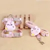 Correa para gato para prevenir escapes, especialmente diseñada para uso en exteriores, arnés de pecho ajustable en forma de I para pasear gatos