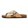 Sandalias de Corcho Nuevas Ruizu 2026 para Hombre con Tiras Cruzadas, Zapatos de Playa para Hombre, Sandalias Casuales, Chanclas Resistentes al Agua para Estudiantes