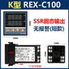 Termostato RKG REX-C100C400C700900 Pantalla Digital Controlador de Temperatura de Horno Controlador de Temperatura Constante