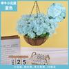 Plantas Colgantes Artificiales Colgantes de Pared Lirio Cesta Pequeña de Flores Flores Falsas Margarita Pequeña Flor de Gloria de la Mañana Rama Decoración del Hogar