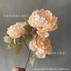 3 flores de peonía salón de bodas camino de entrada ramo de peonías red social disparo fondo suave accesorios