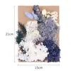 Flores Secas DIY Flores Imortais Pétalas de Flores Naturais Relevadas Pacote de Material Relevado Vela de Aromaterapia Fabricante de Material Floral Atacado