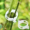 Clip para plantas clip colgante para plántulas clip de plástico para atar enredaderas clip para atar ramas clip colgante para enredaderas abrazadera para enredaderas clip para fijar enredaderas venta al por mayor