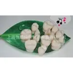 四倍恒牙模型医学模型