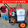 Pulverizador Manual a Gasolina Lianlong 300 Litros para Pulverização de Ruas Comunitárias, Controle de Pragas de Jardim e Limpeza de Alta Pressão
