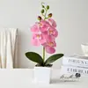 Flores Artificiais Transfronteiriças: Planta em Vaso de Orquídea Phalaenopsis Realista com 5 Flores, Flores Artificiais para Decoração de Sala de Estar Interna, Flores Artificiais e Plantas Verdes