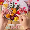 Regalo para el Día del Maestro: Kit de materiales DIY para abanico de flor eterna y flor seca, abanico hecho a mano, abanico de palacio en blanco estilo antiguo