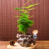 Plantas de Espárragos en Maceta Plantas Verdes de Interior para Oficina Plántulas Bonsái Bambú Nube Enano Tangshan Flor de Viento Maceta Plantas Pequeñas en Maceta