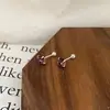 Pendientes de Lujo de Gama Alta, Pendientes de Aro Lisos de Moda, Pendientes de Aro Elegantes de Nicho para Mujer, Tapones para los Oídos, Puestos de Venta al por Mayor de Pendientes