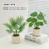 Plantas Verdes, Vasos Pequenos, Árvore da Fortuna Semelhante para Mesas de Escritório Internas, Mesas de Centro de Sala de Estar, Flores Artificiais e Arranjos Florais