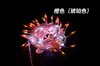 Luces de Cortina de Fuegos Artificiales LED Flotantes Impermeables para Exteriores Iluminación Festiva Luz Nocturna para Patio y Dormitorio Cadena de Luces Decorativa de Atmósfera