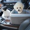 Versión coreana de caseta cuadrada Cuatro Estaciones universal asiento de coche para mascotas nido pequeño y mediano para mascotas nido de gato para coche del hogar venta al por mayor