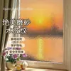 Película de Privacidad Engrosada Pegatina de Vidrio Esmerilado Transmisora de Luz pero No de Personas Pegatina de Vidrio para Ventana Retro Colorida para Hogar Sala de Estar