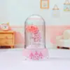Lámpara de Noche de Oración Annie para Bebé Más Vendida Adorno Creativo de Escritorio Lámpara de Estrella Regalo para Novia Decoración de Dormitorio