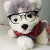 Muñeca de algodón de 20 cm hermana JK juguete gafas de gatito y cachorro de doble rayo de metal accesorios para fotos espejo decorativo para mascotas tendencia