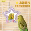 Juguete para Loro con Espejo Giratorio y Plato Giratorio para Cacatúas y Periquitos, Juguete Interactivo para Pájaros para Aliviar el Aburrimiento