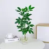 Madera Patas de Pato Hidropónica Plantas Verdes en Maceta Sala de Estar Interior Nandina Cortada Fresca Madera Borracha Criada en Agua Bafanglaicai